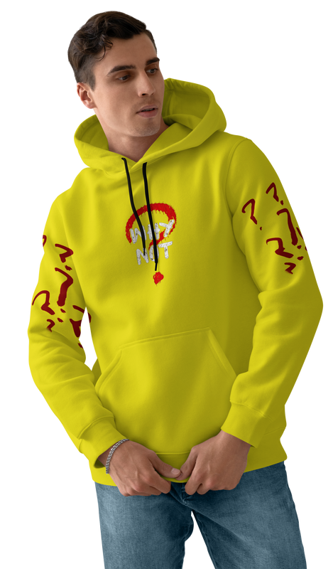 WHY NOT Design 450gsm Premium Hoodie